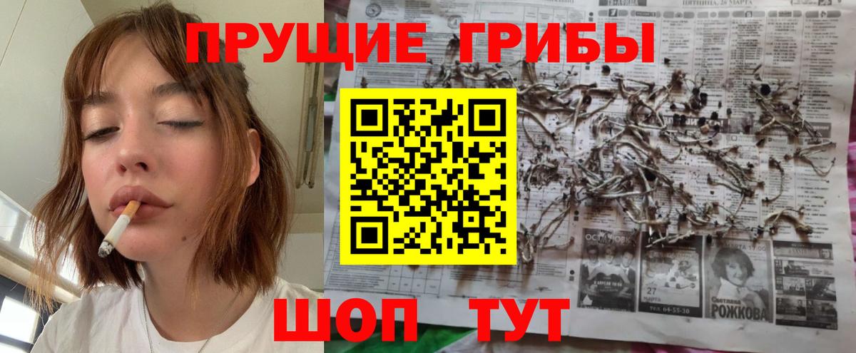 Галлюциногенные грибы Psilocybe Старая Купавна